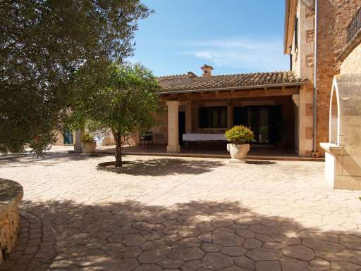 Finca Palmera Solitaria