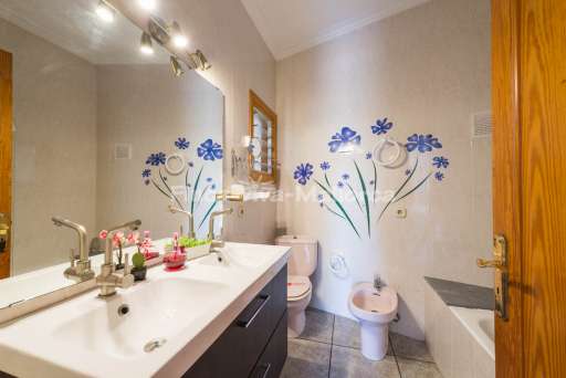 Finca Nenufar Alcudia