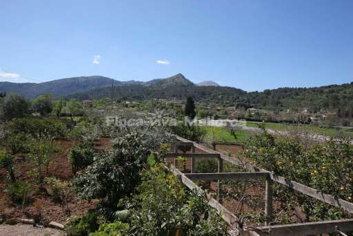Finca Coster Rafal Pollenca