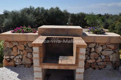 Finca Tiana Ses Salines