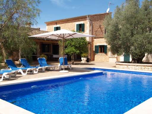 Finca Palmera Solitaria