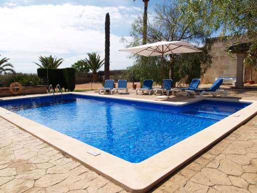 Finca Palmera Solitaria