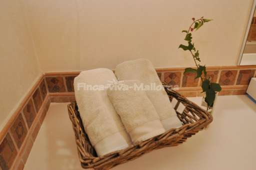 Finca Cas Padrins Alqueria Blanca