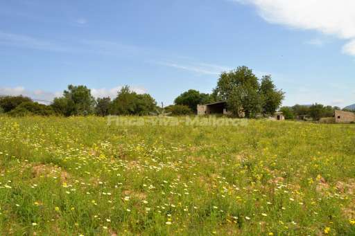 Finca Magda Cas Concos, Ausblick, Wiese