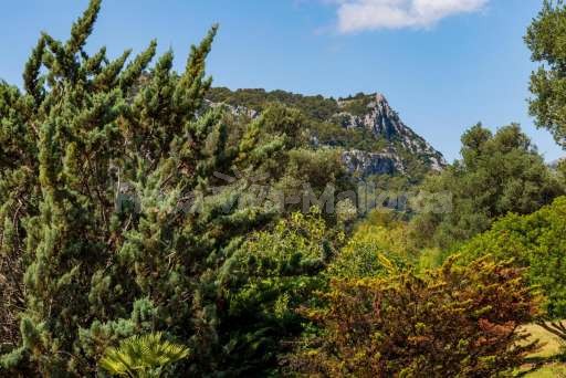 Finca Hostalet Pollenca