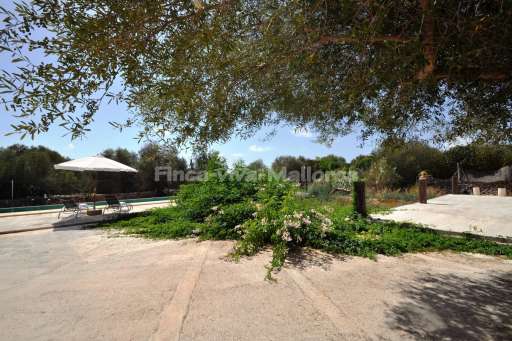 Casita Miguel Santanyi