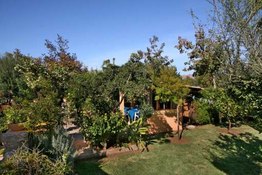 Finca Fullos Pollenca, Garten