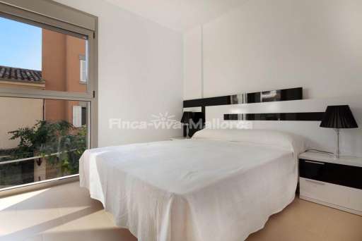 App Tango Port de Pollenca