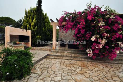 Finca Betanca, Außenküche, Terrasse