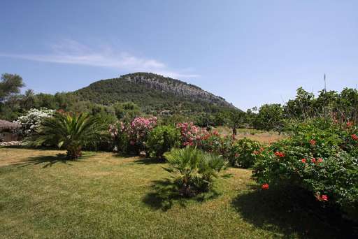 Casa Caragola Pollenca, Garten, Aubsbick
