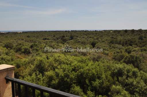 Chalet Aria Porto Colom