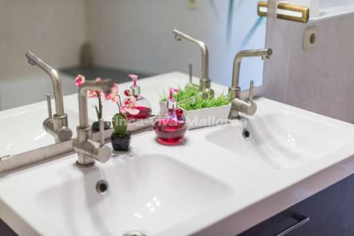 Finca Nenufar Alcudia