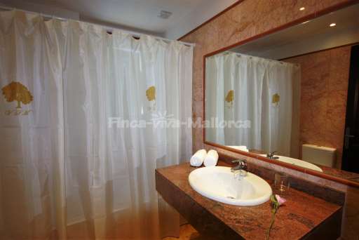 Finca Palmeral Petra