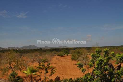 Finca Ses Mires