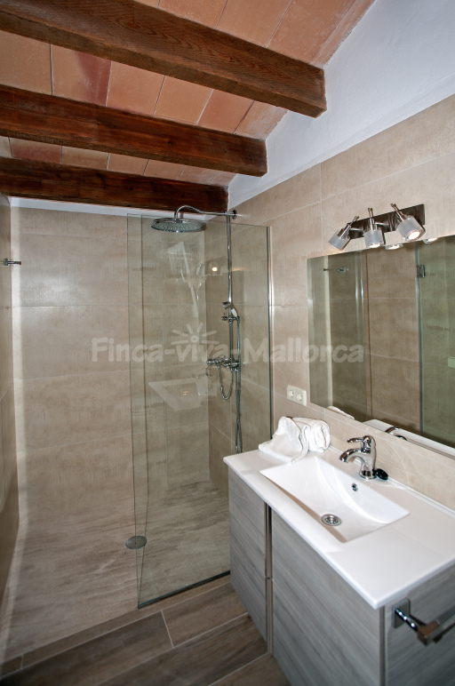 Finca Binibona petit