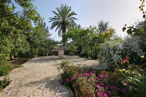 Finca Butxaco Pollenca