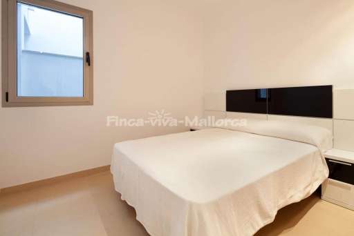 App Tango Port de Pollenca