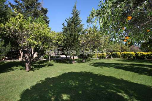 Finca Hort Cames Pollenca