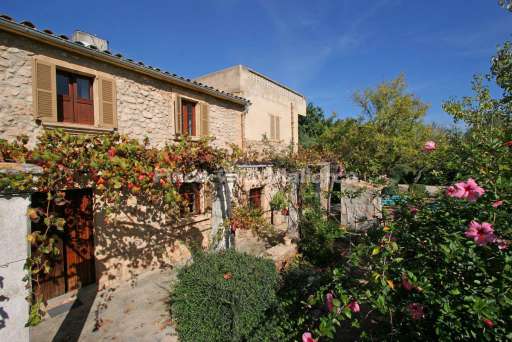 Finca Punxa Pollenca