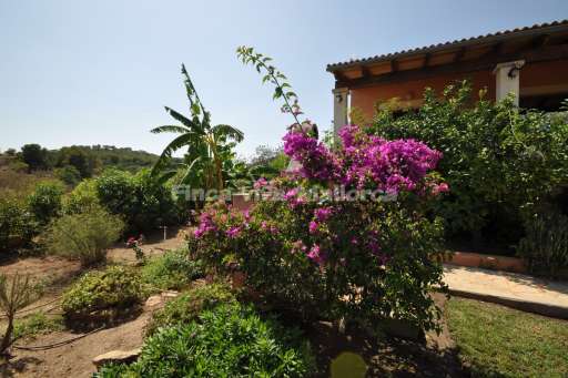 Finca Miguel Vall d'Or Golf