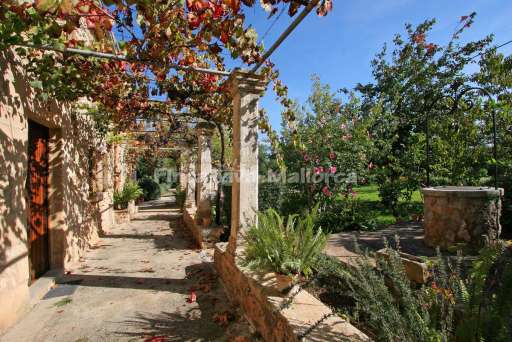 Finca Punxa Pollenca