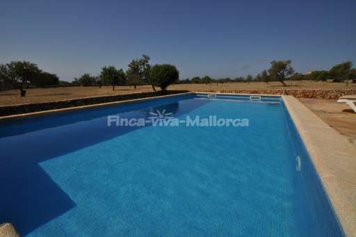 Casa Galerins, Pool