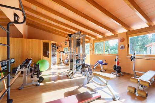 Finca Mercer Palmanyola