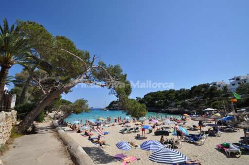 Bungalow Playa d Or, Meer, Strand