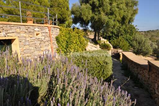 Finca Calma Asiento Arta