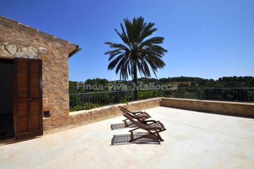 Finca Malida Son Macia