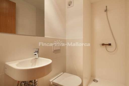 App Tango Port de Pollenca