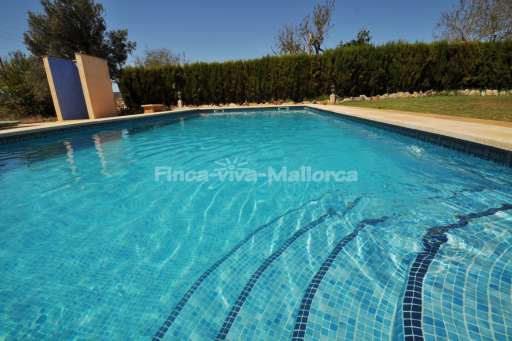 Casa Ferrer, Pool
