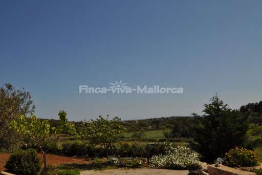 Finca Jaime, Garten, Ausblick