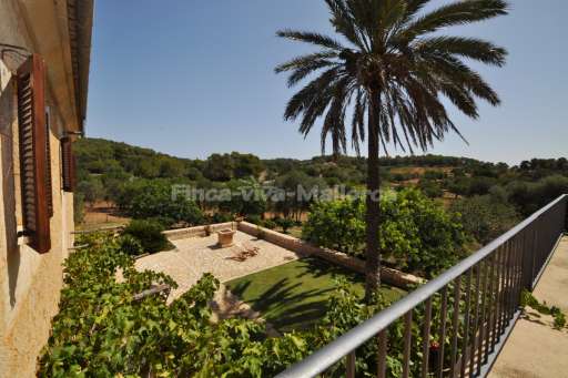 Finca Malida Son Macia