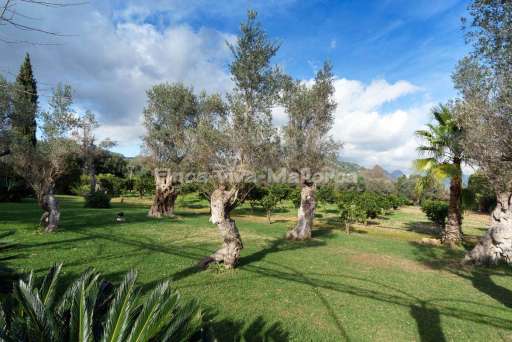 Finca Mercer Palmanyola