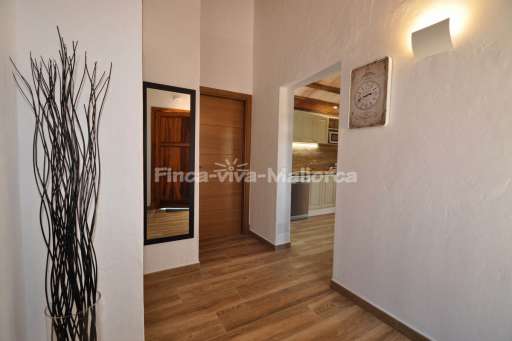 Finca Carrizo Calonge