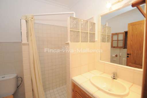 Finca Llanura Ses Salines