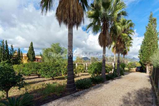 Finca Mercer Palmanyola