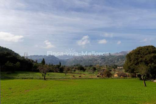 Finca Plana Morro Pollenca