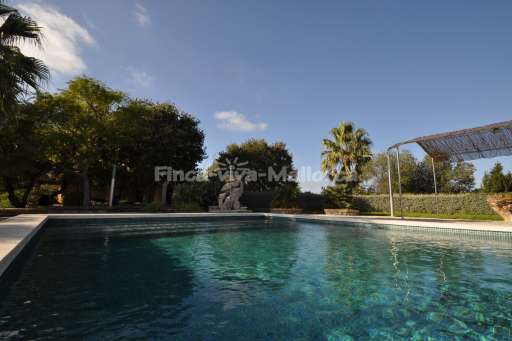 Finca Calma Asiento Arta