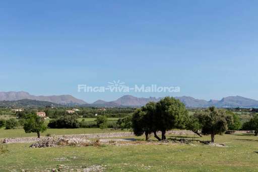 Finca Sou Alcudia
