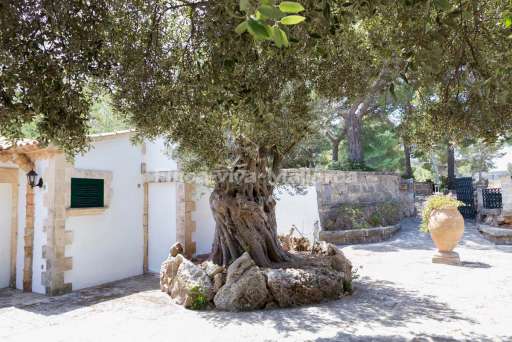 Casa Gran Voramar Cala St Vicenc