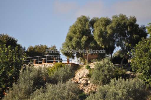 Finca Calma Asiento Arta