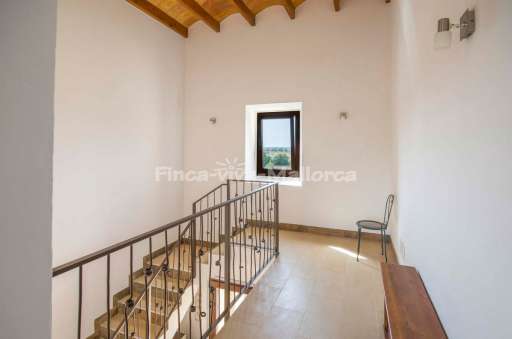 Finca Cami Es Trenc