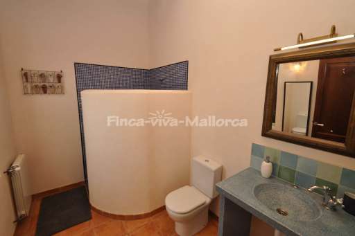 Finca Tiana Ses Salines