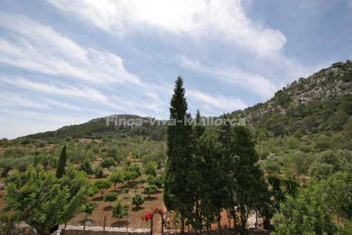 Finca Guillo Gran Pollenca