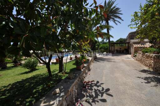 Finca Can Pelat, Garten, Poo, Zufahrt