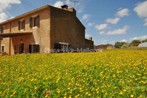 Finca Juanita Can Garinet