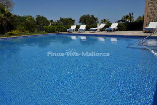 Finca Palmeral Petra