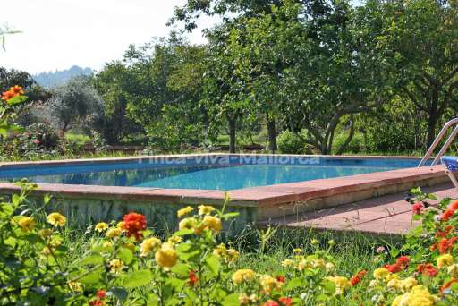 Finca Punxa Pollenca